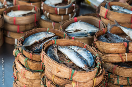 mackerel fish in local market