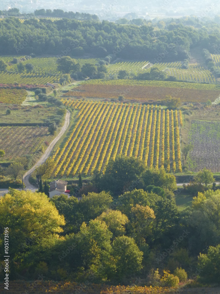 View over vineyards in Provence in autumn View over vineyards in Provence in autumn