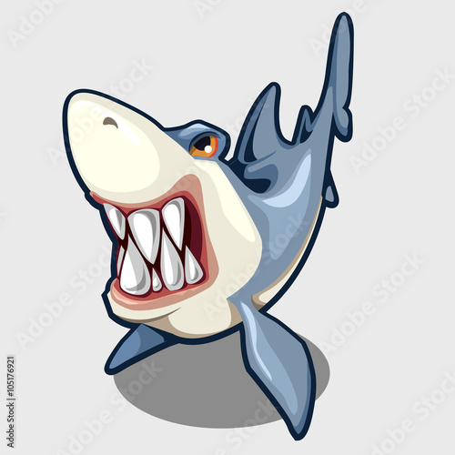 Evil shark with sharp teeth, isolated vector 