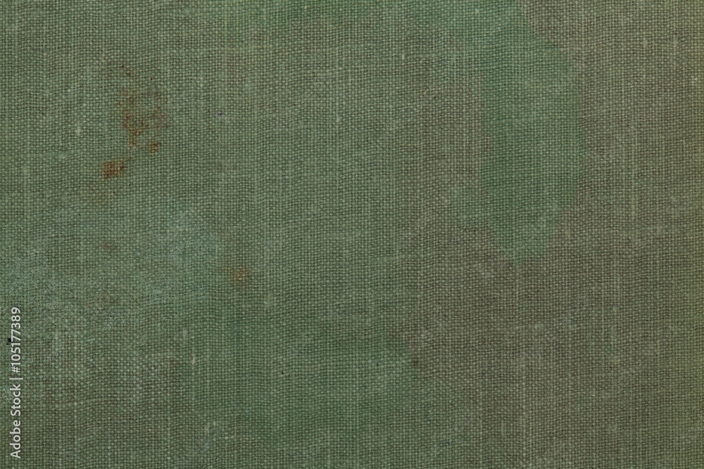 Dirty pale green canvas texture