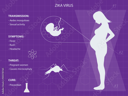 Zika disease infographic purple background