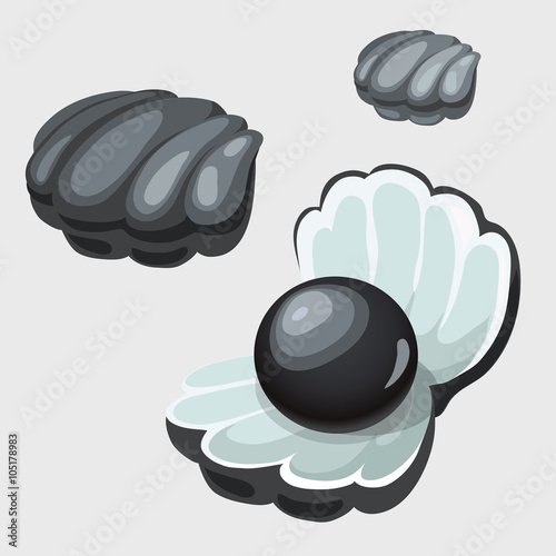 Open and closed black shell box with pearl
