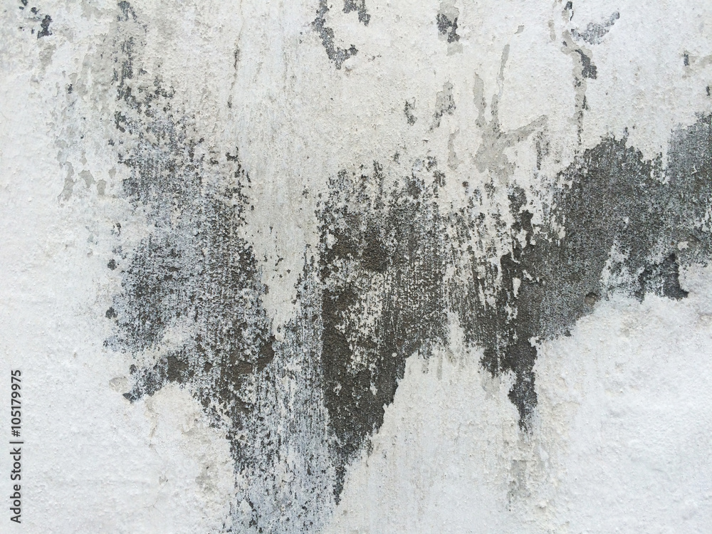 Obraz premium Stone surface
