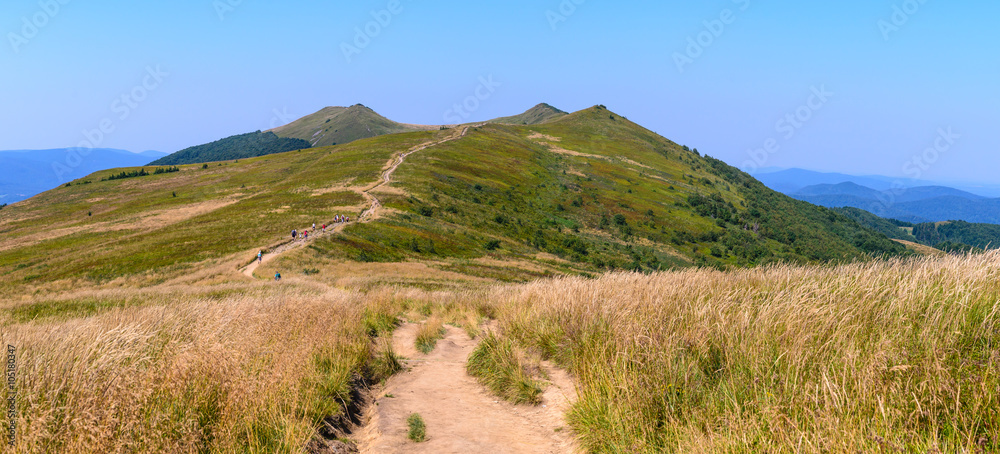 Fototapeta premium Bieszczady