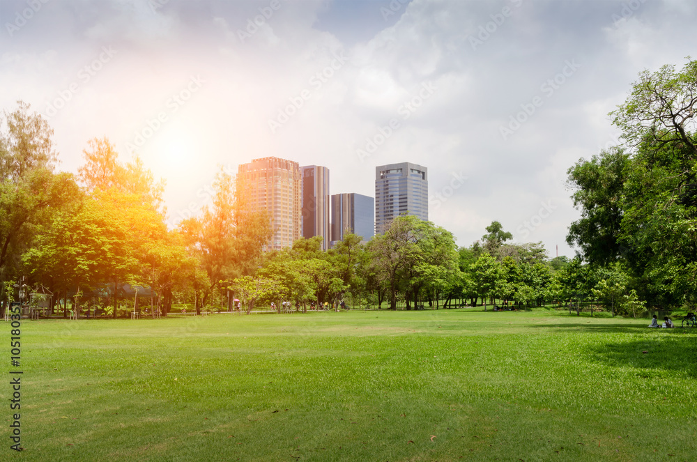 green grass field in big city park