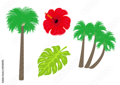 イラスト素材 ヤシの木 ハイビスカス モンステラ Stock Illustration Adobe Stock イラスト素材 ヤシの木 ハイビスカス モンステラ Stock Illustration Adobe Stock