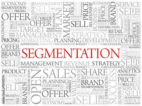 Segmentation word cloud, business concept background