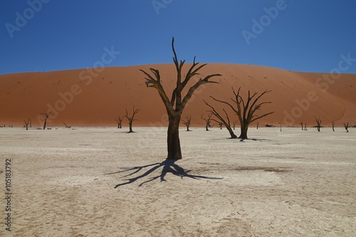 Dead Vlei im Namib-Naukluft-Park