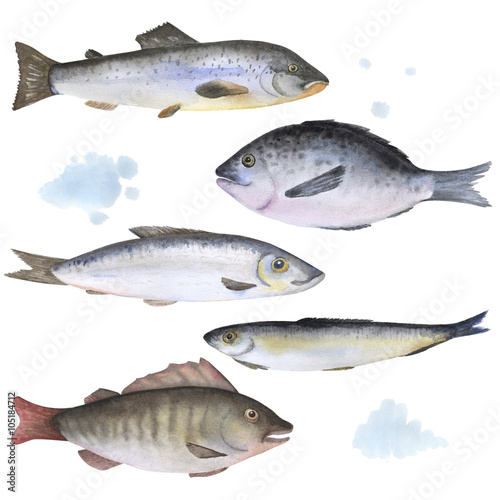 Set of 5 fish painted in watercolor