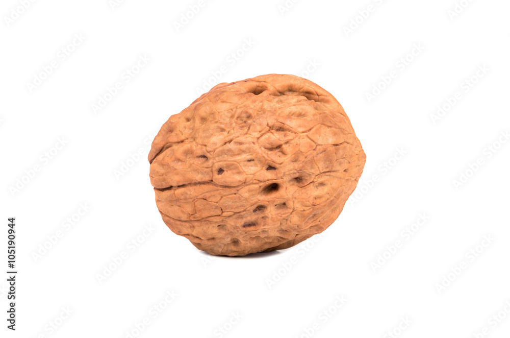 Walnut Walnut