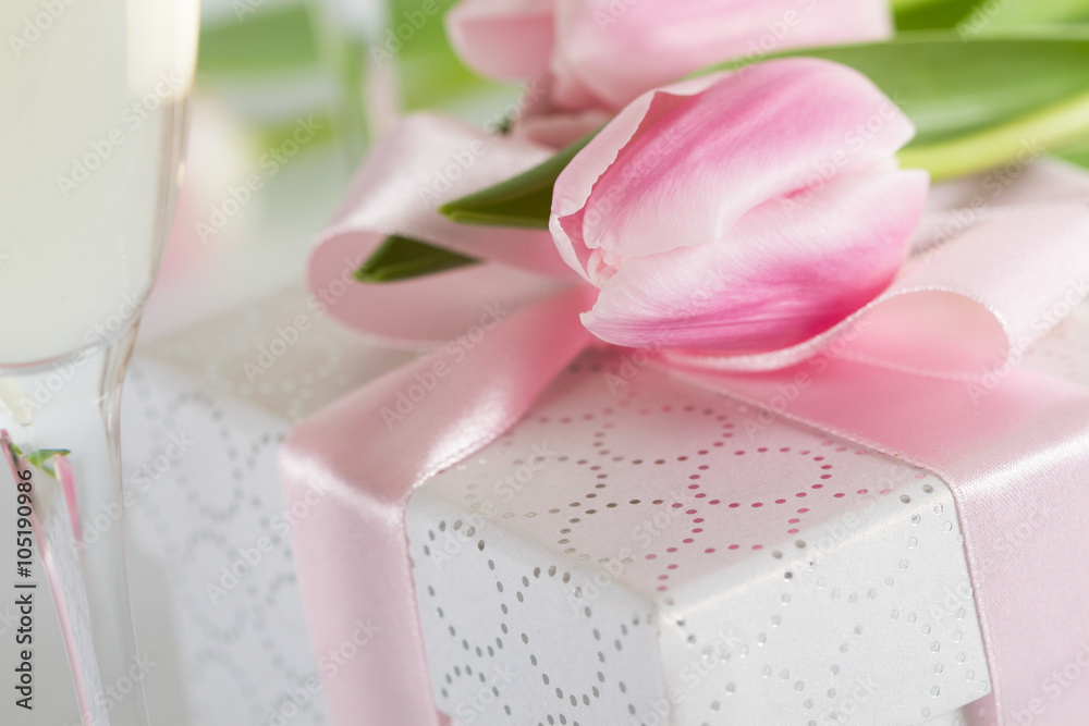 Pink fresh tulip on  gift box