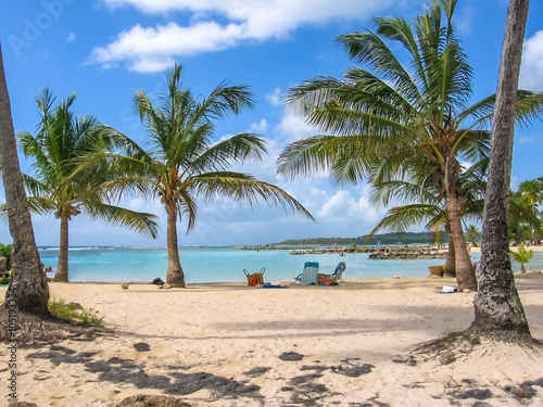 Coconut palms  turquoise sea and white sandy beach of famous Sainte-Anne  Guadeloupe  Antilles  Caribbean.