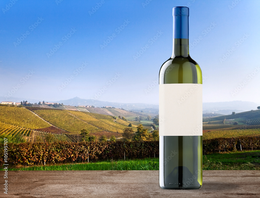 Wine bottle on vineyards