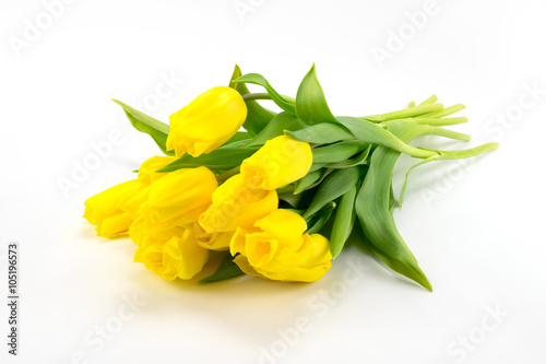 Yellow tulips lying on a light background