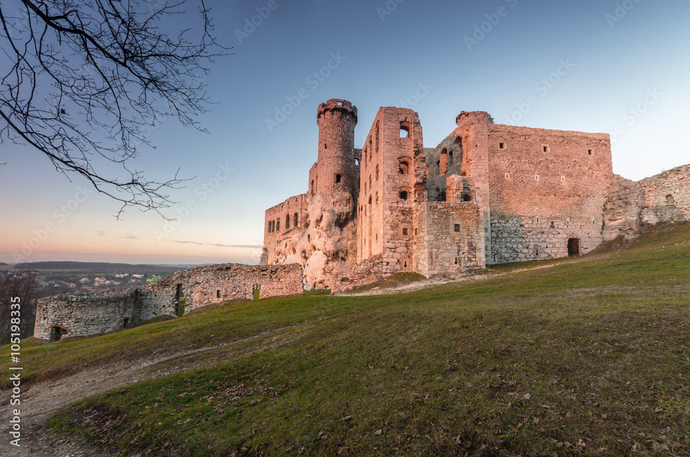 Ruins of medieval castle in Ogrodzieniec, Poland, late afternoon