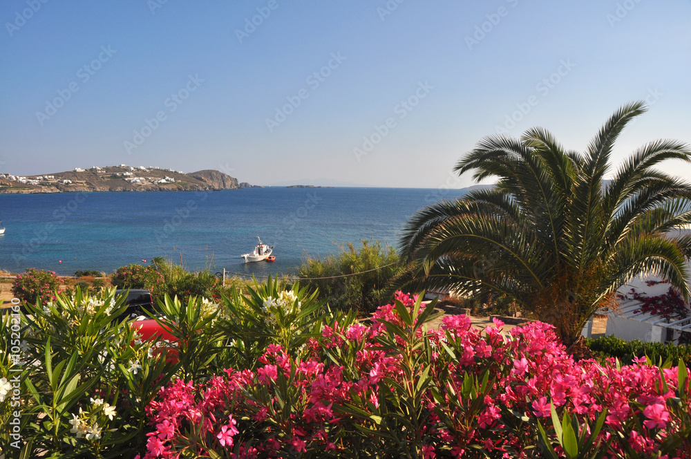 Bucht auf Mykonos im Frühling, mit Palmen und rosa Blüten