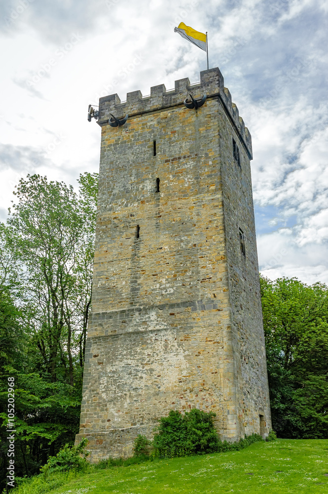 Ancient tower with flag located on hill and surrounded by trees