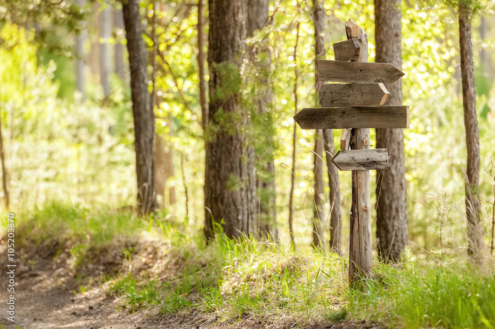 Track pointer on a forest road