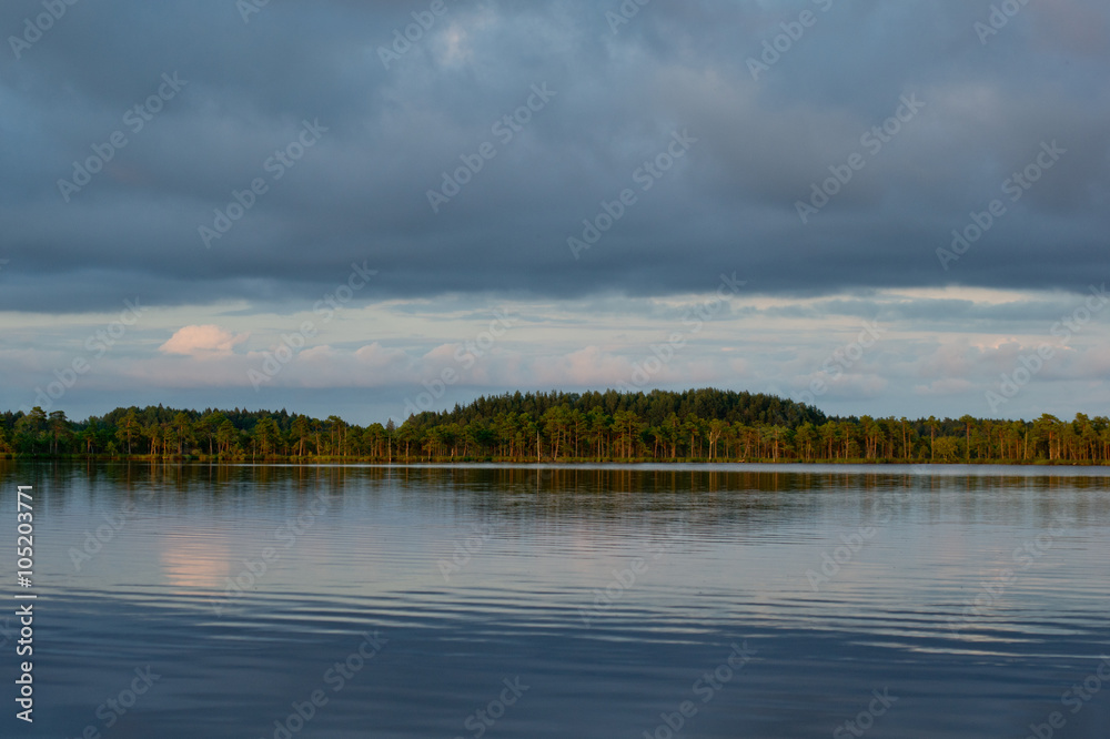 Summer on the bog lake. Forest and sky reflection in the swamp