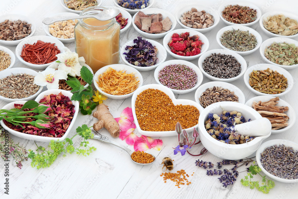 Alternative Herbal Medicine Alternative Herbal Medicine