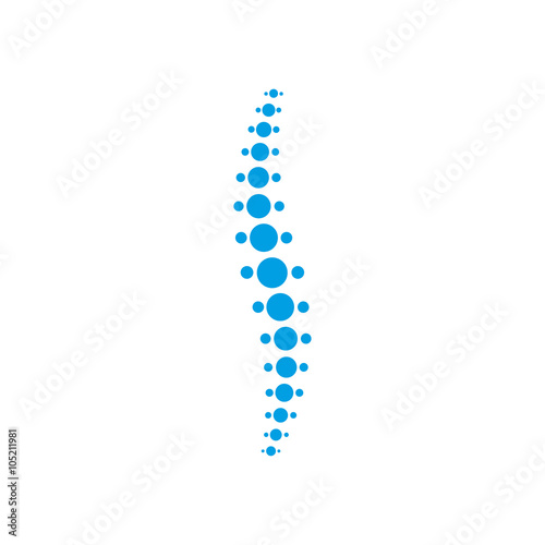 Spine on a white background