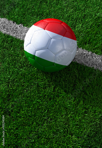 Soccer ball and national flag of Hungary   green grass