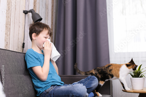 Junge reagiert allergisch auf Katzen 