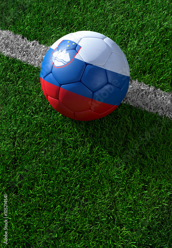 Soccer ball and national flag of Slovenia   green grass
