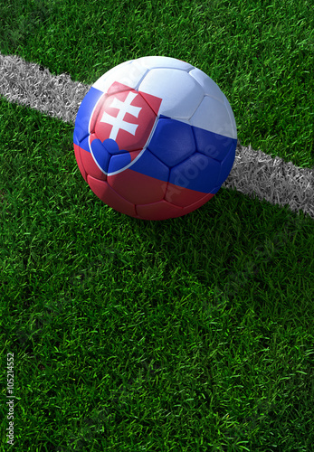 Soccer ball and national flag of Serbia   green grass