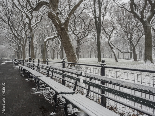 Central Park, New York City snow storm © John Anderson