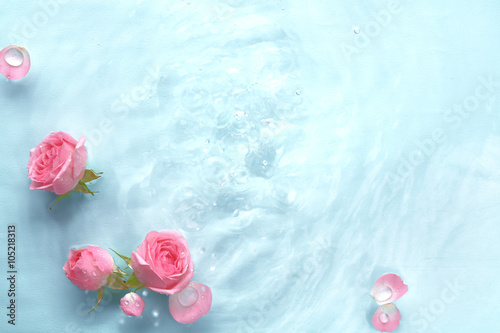 Fototapeta Naklejka Na Ścianę i Meble -  Rose in water