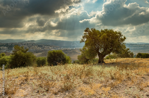 On the hills of Jerusalem