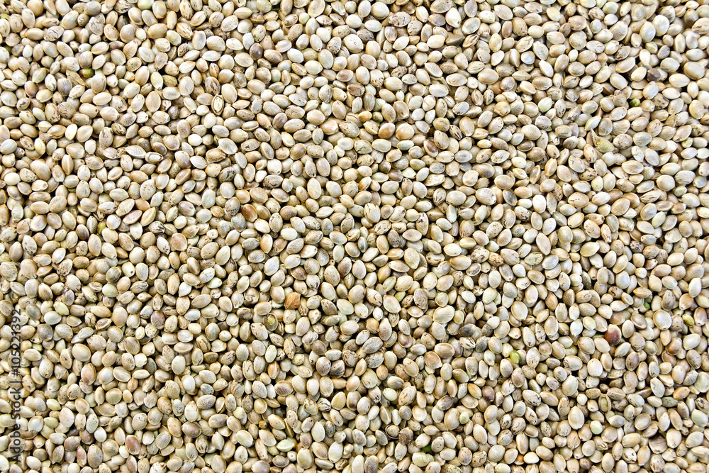 Hemp seeds Hemp seeds