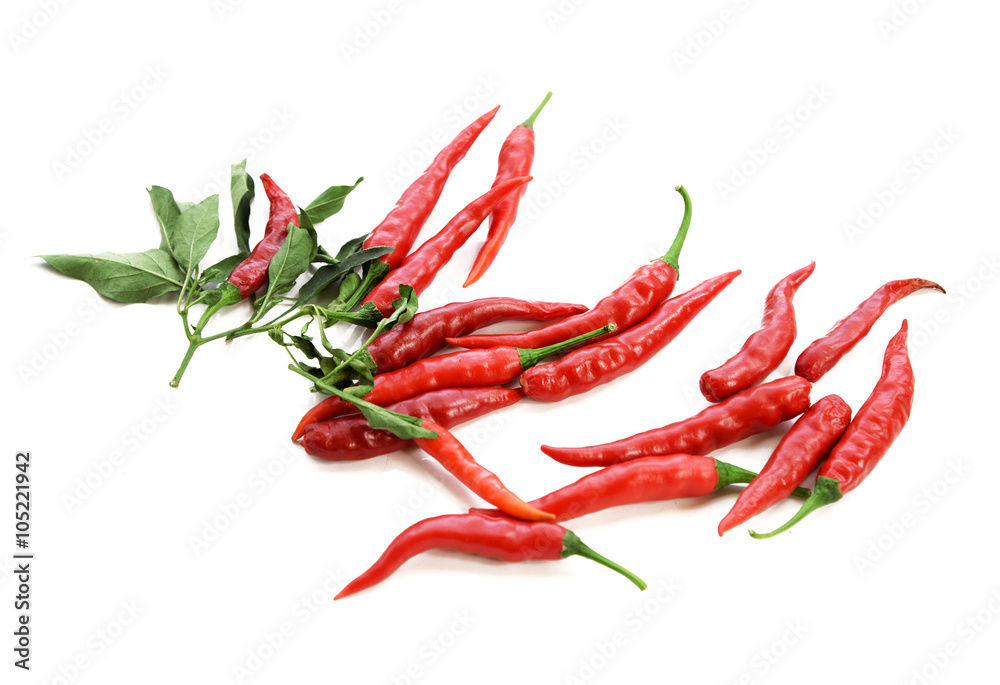 Hot chili peppers isolated on white background Hot chili peppers isolated on white background