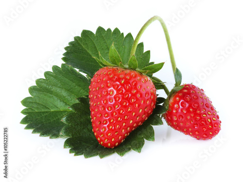 Strawberry isolate on white background photo
