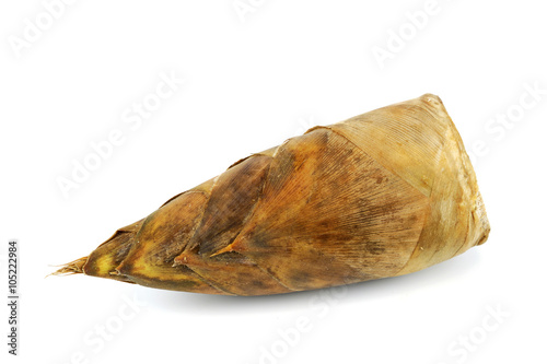 winter bamboo shoot isolated on white background