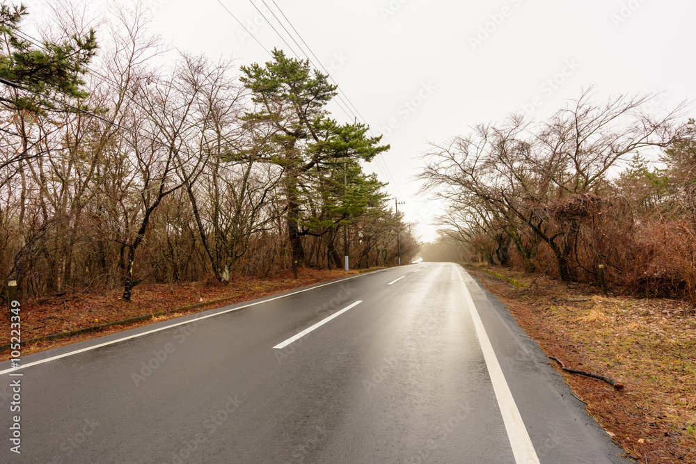 冬の山の中の道路