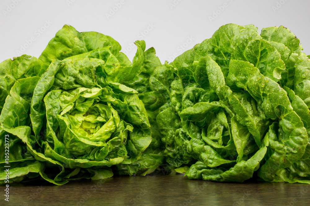 Fresh lettuce leaves Fresh lettuce leaves