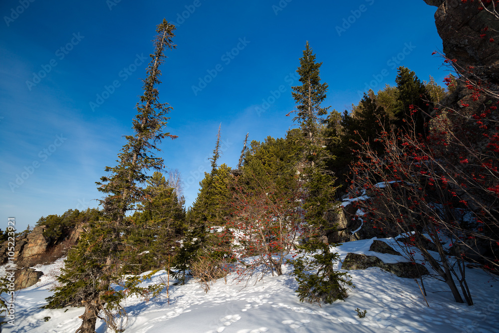 Scenic view of the winter mountains