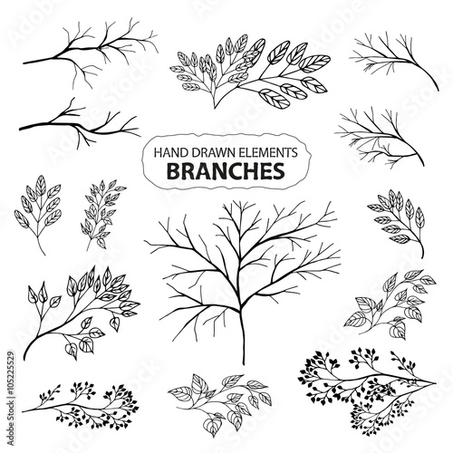 A set of hand drawn branches of trees and plants. Ink drawing.