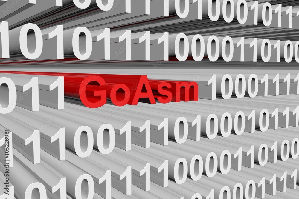 GoAsm is presented in the form of binary code
