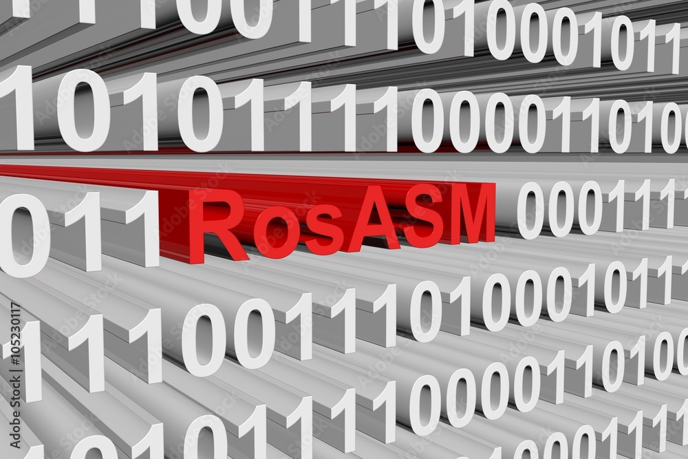 RosASM is presented in the form of binary code