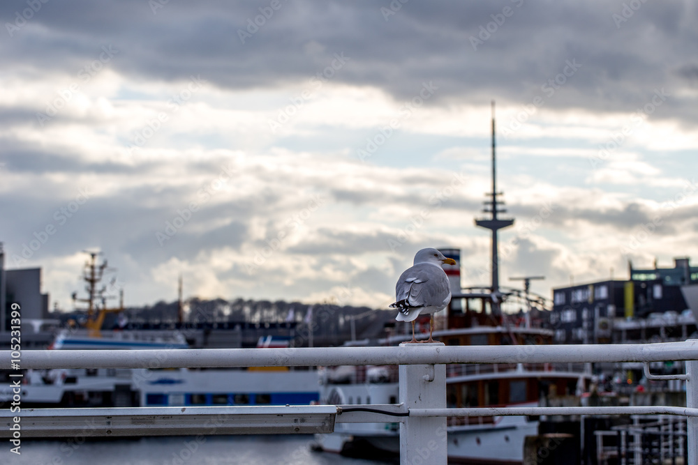 Naklejka premium Möwe auf dem Geländer einer Brücke im Kieler Hafen