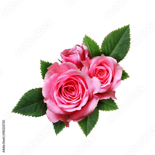 Pink rose flowers composition