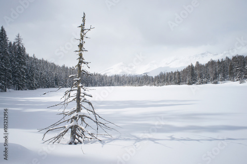 Winter scene of a lake covered by snow