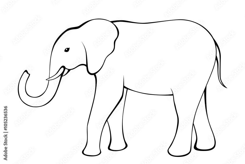 Fototapeta premium Elephant black white isolated illustration vector
