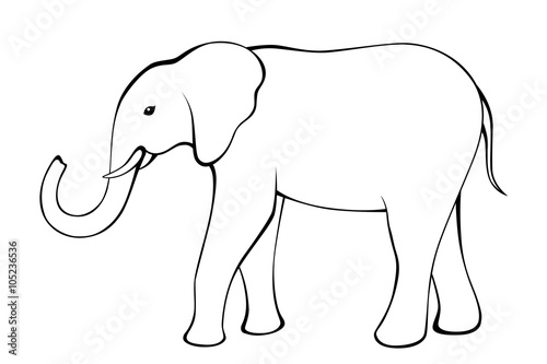 Elephant black white isolated illustration vector