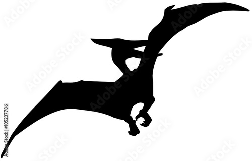 pterosaur 