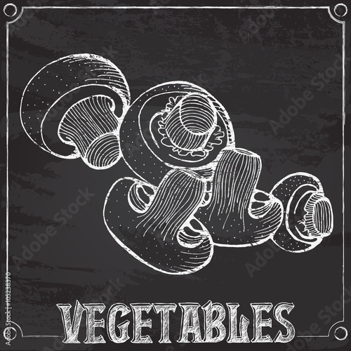 vector chalk drawing of champignons mushrooms