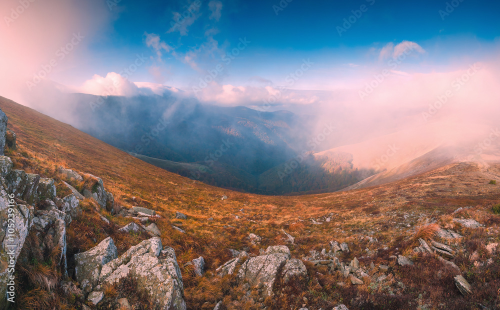 Carpathian misty mountain valley